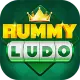 Rummy Ludo logo